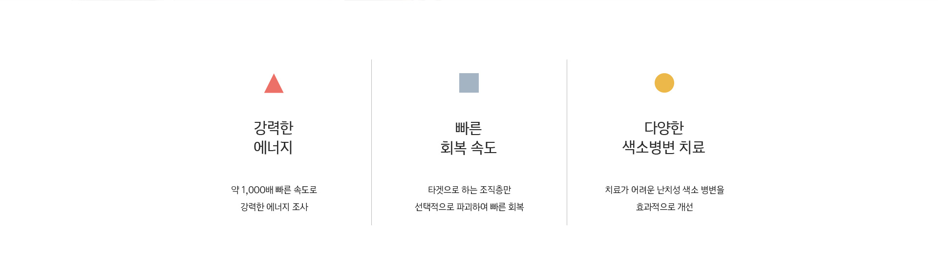 강력한 에너지, 빠른 회복 속도, 다양한 색소병변 치료