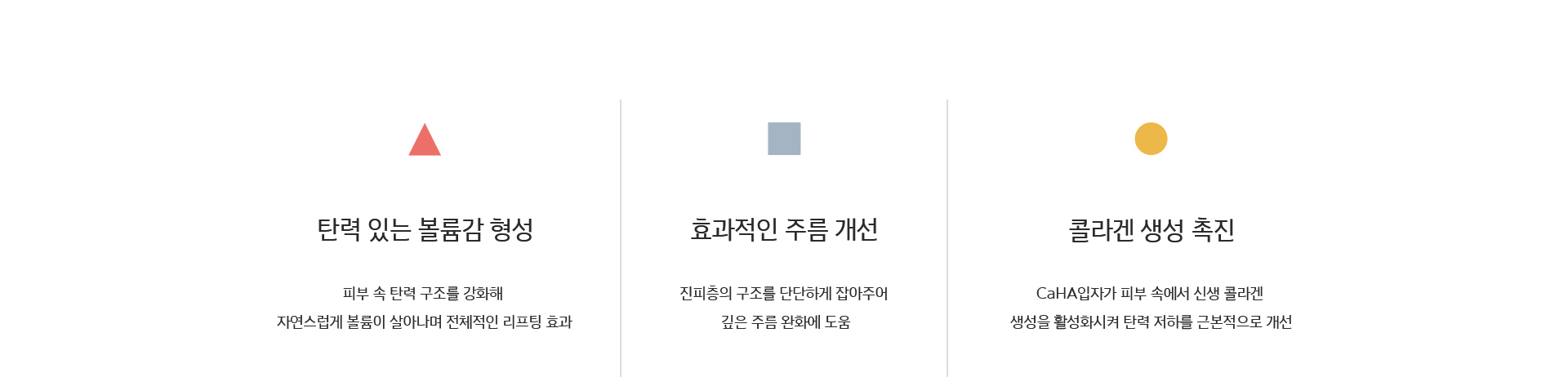 유수분 밸런스 조절, 콜라겐 재생, 피부 재생 및 피부결 개선